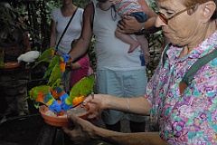 0122 Cairns Tropical Zoo